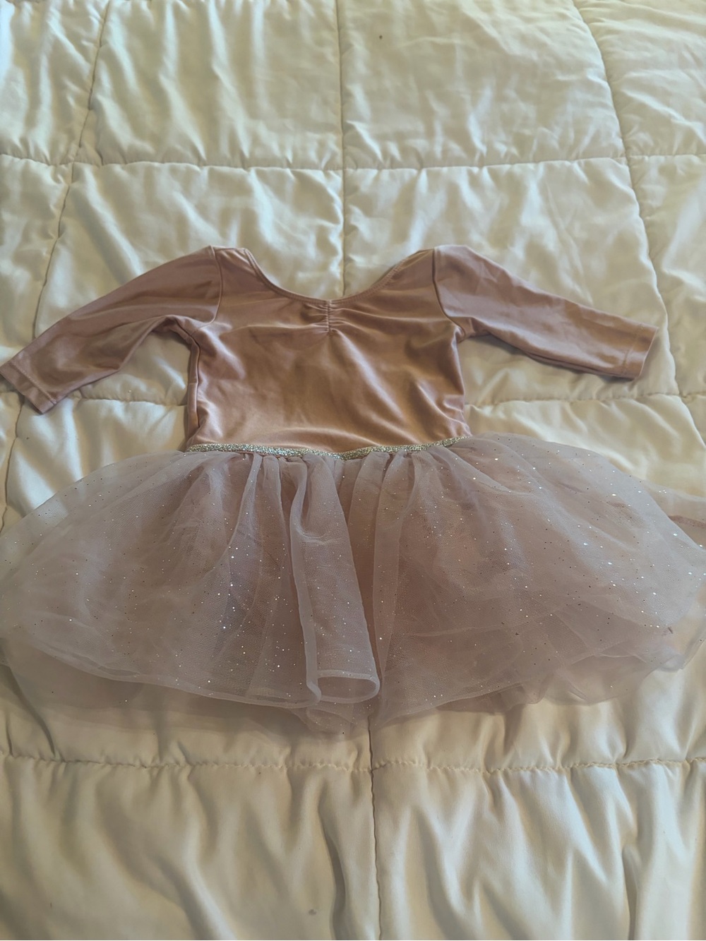 H&M Sparkle Tulle Ballet Dress - Blush